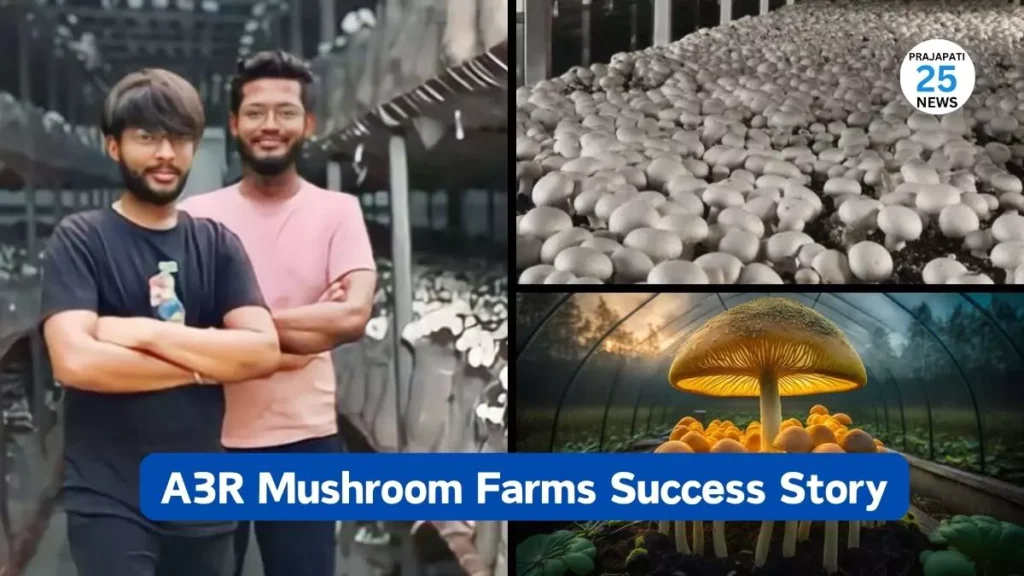 A3R Mushroom Farms Success Story