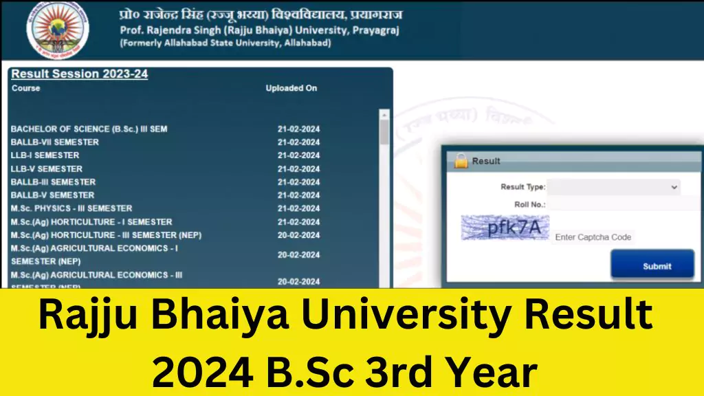 Rajju Bhaiya University Result 2024 B.Sc 3rd Year